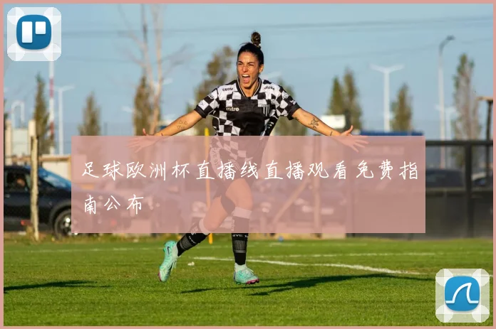 足球欧洲杯直播线直播观看免费指南公布