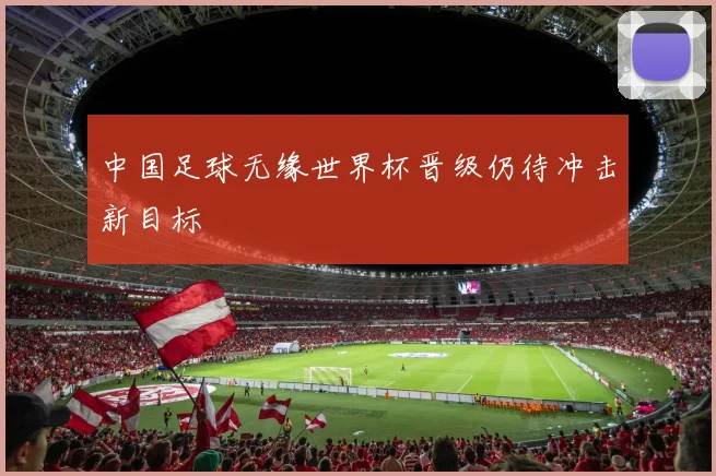 中国足球无缘世界杯晋级仍待冲击新目标