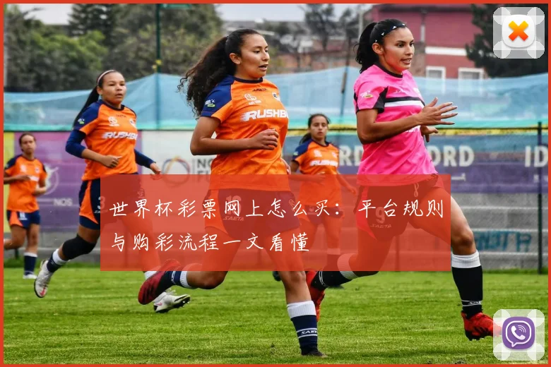世界杯彩票网上怎么买：平台规则与购彩流程一文看懂