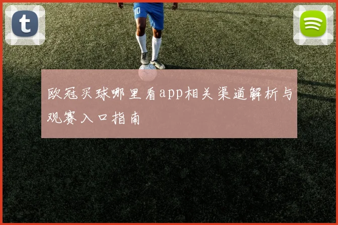 欧冠买球哪里看app相关渠道解析与观赛入口指南